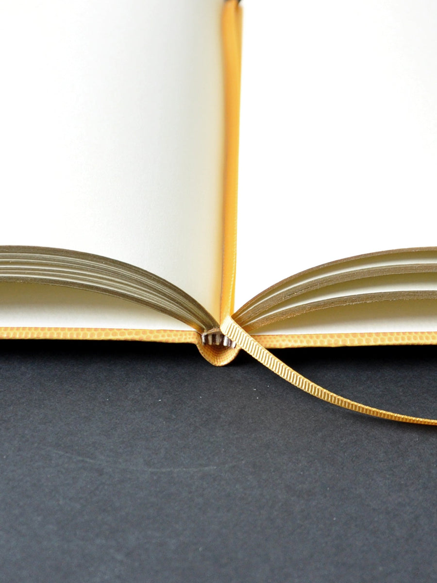 Business Plan Notebook