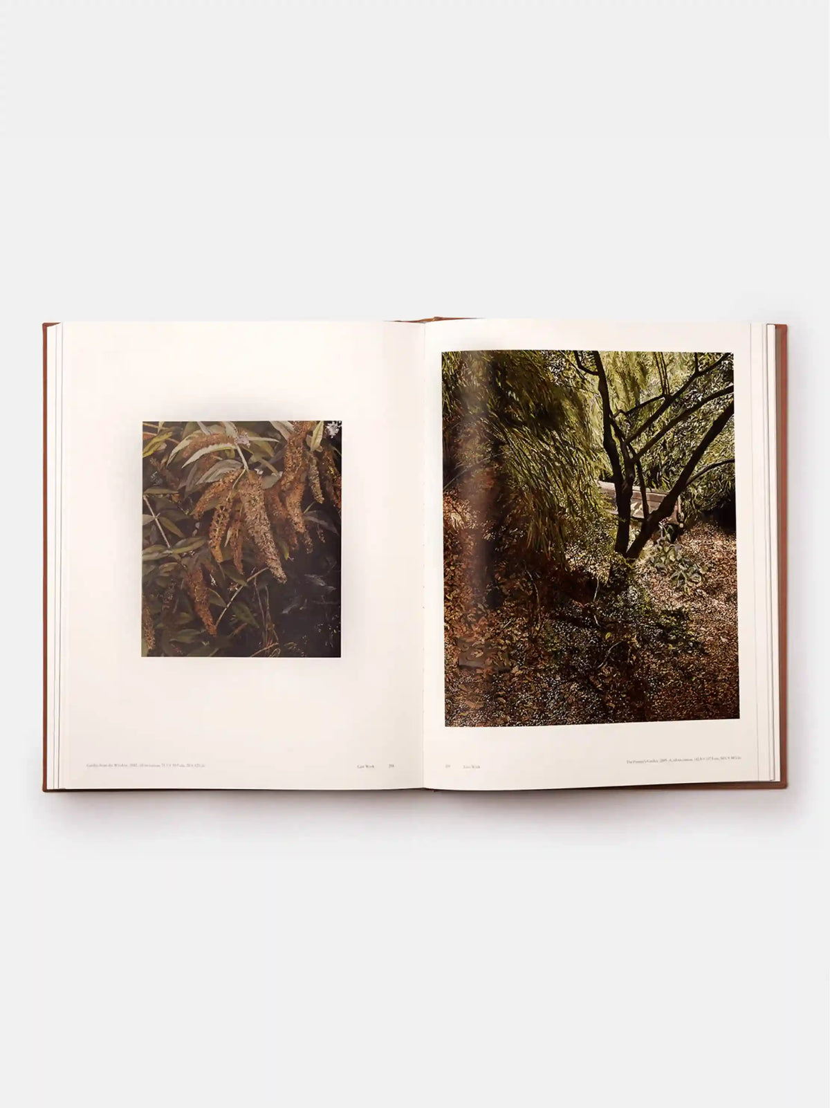 Lucian Freud Book