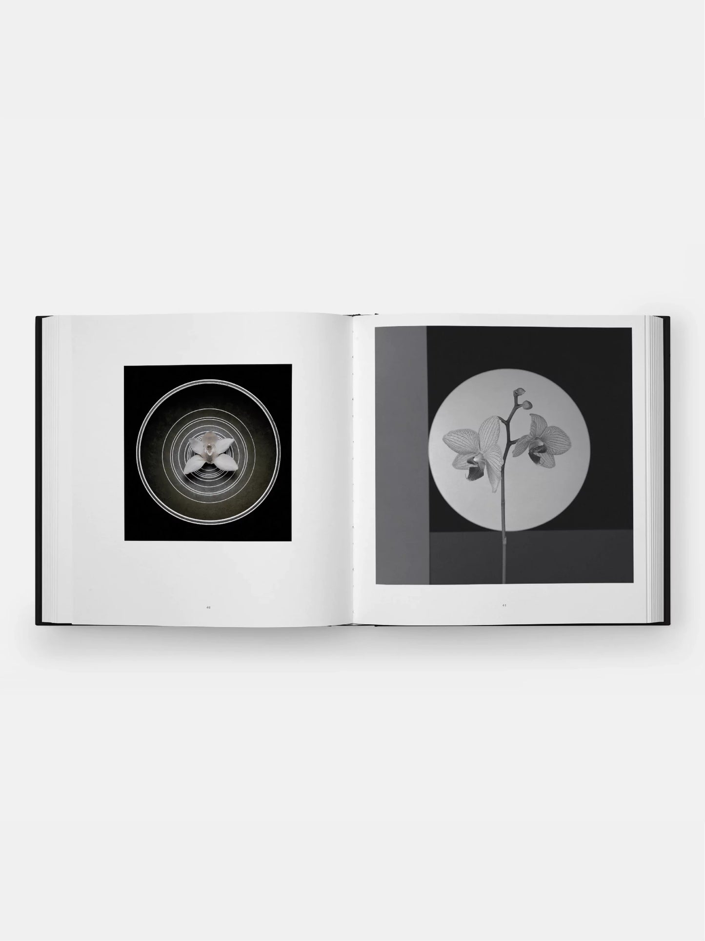 Mapplethorpe Flora Book