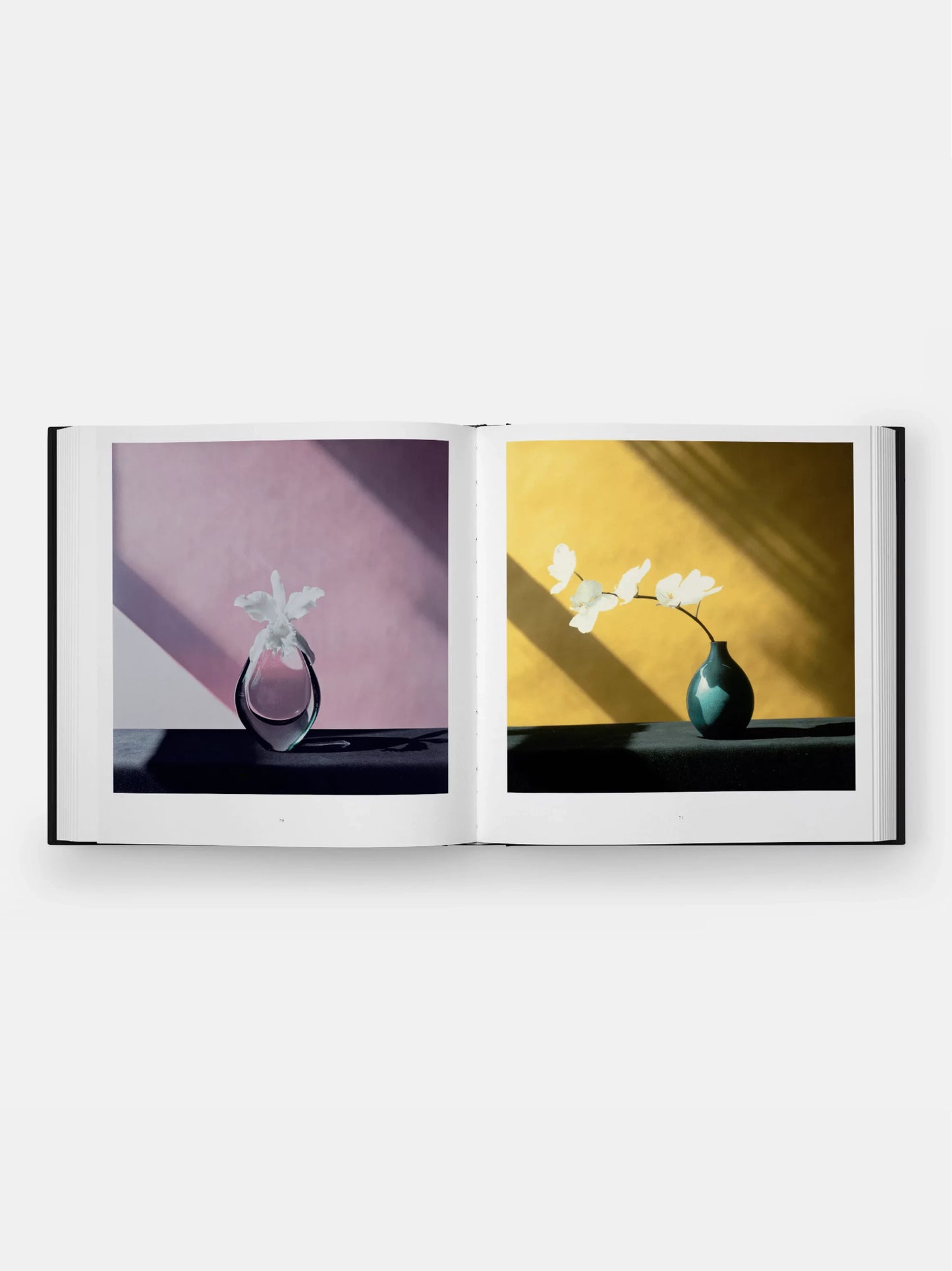 Mapplethorpe Flora Book