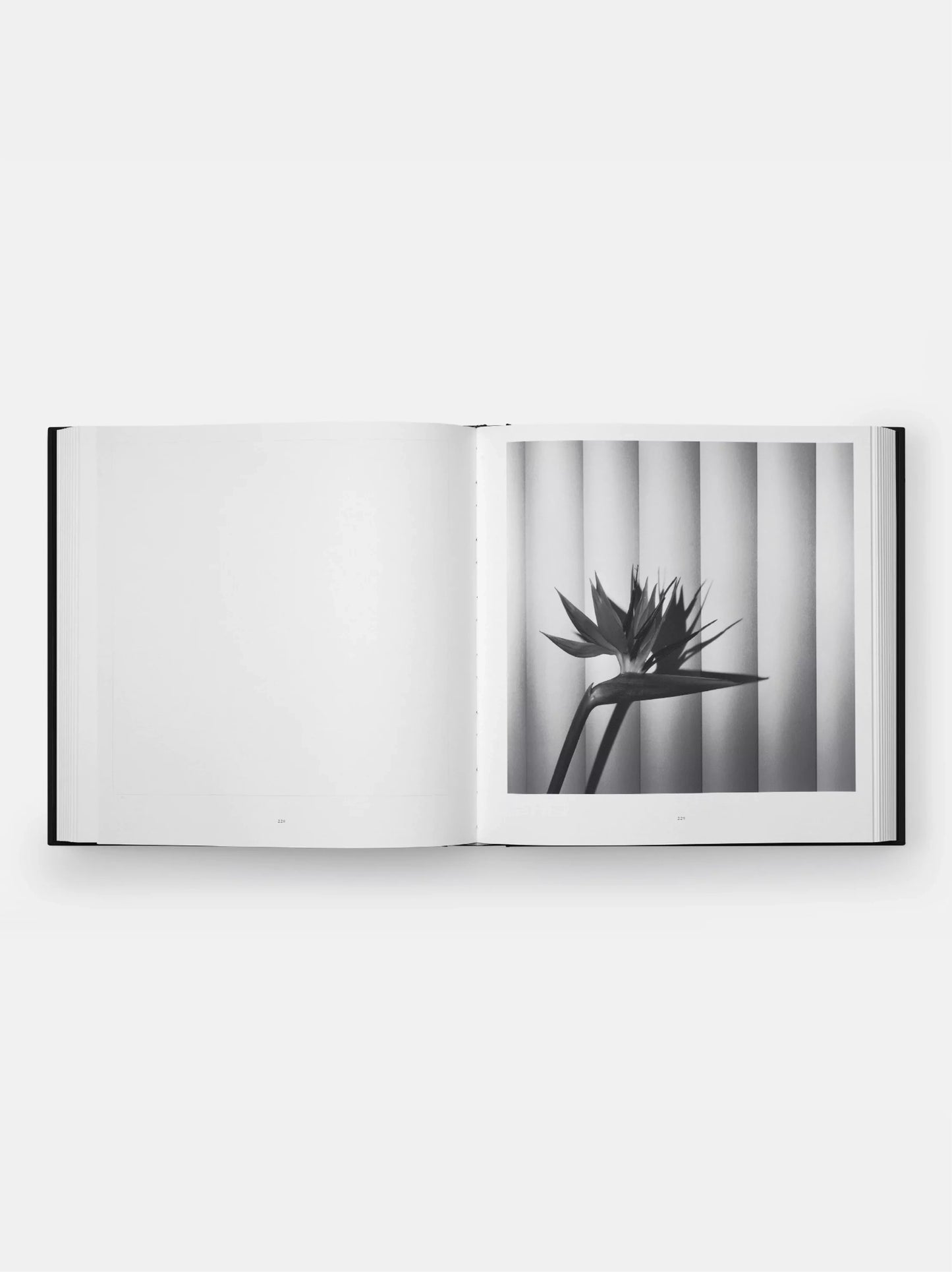 Mapplethorpe Flora Book