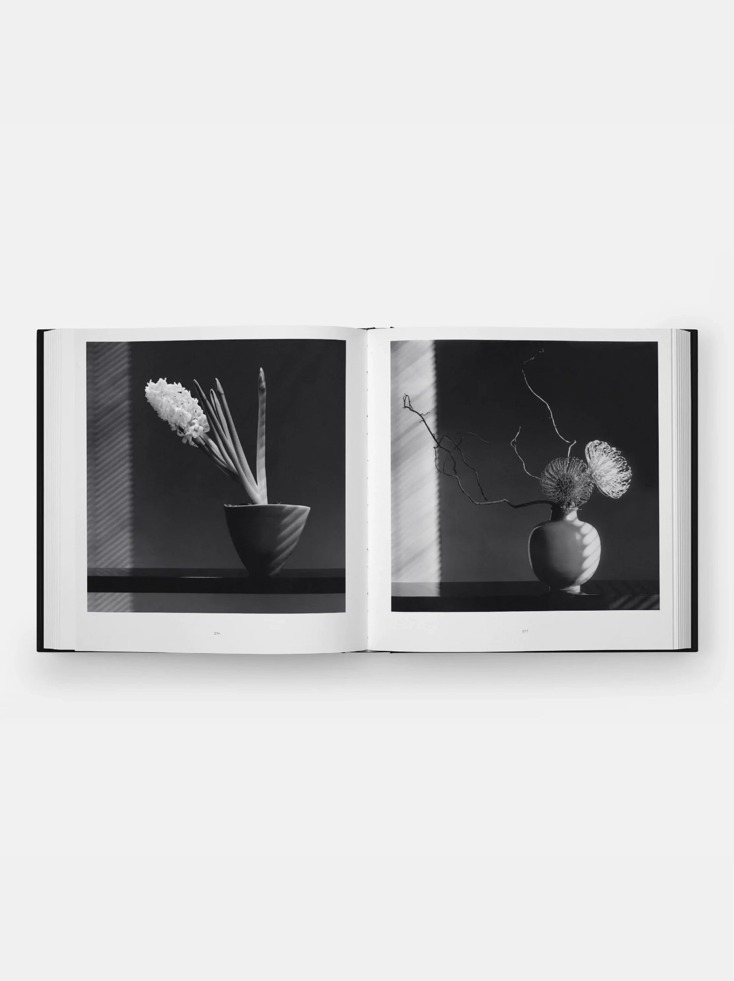 Mapplethorpe Flora Book
