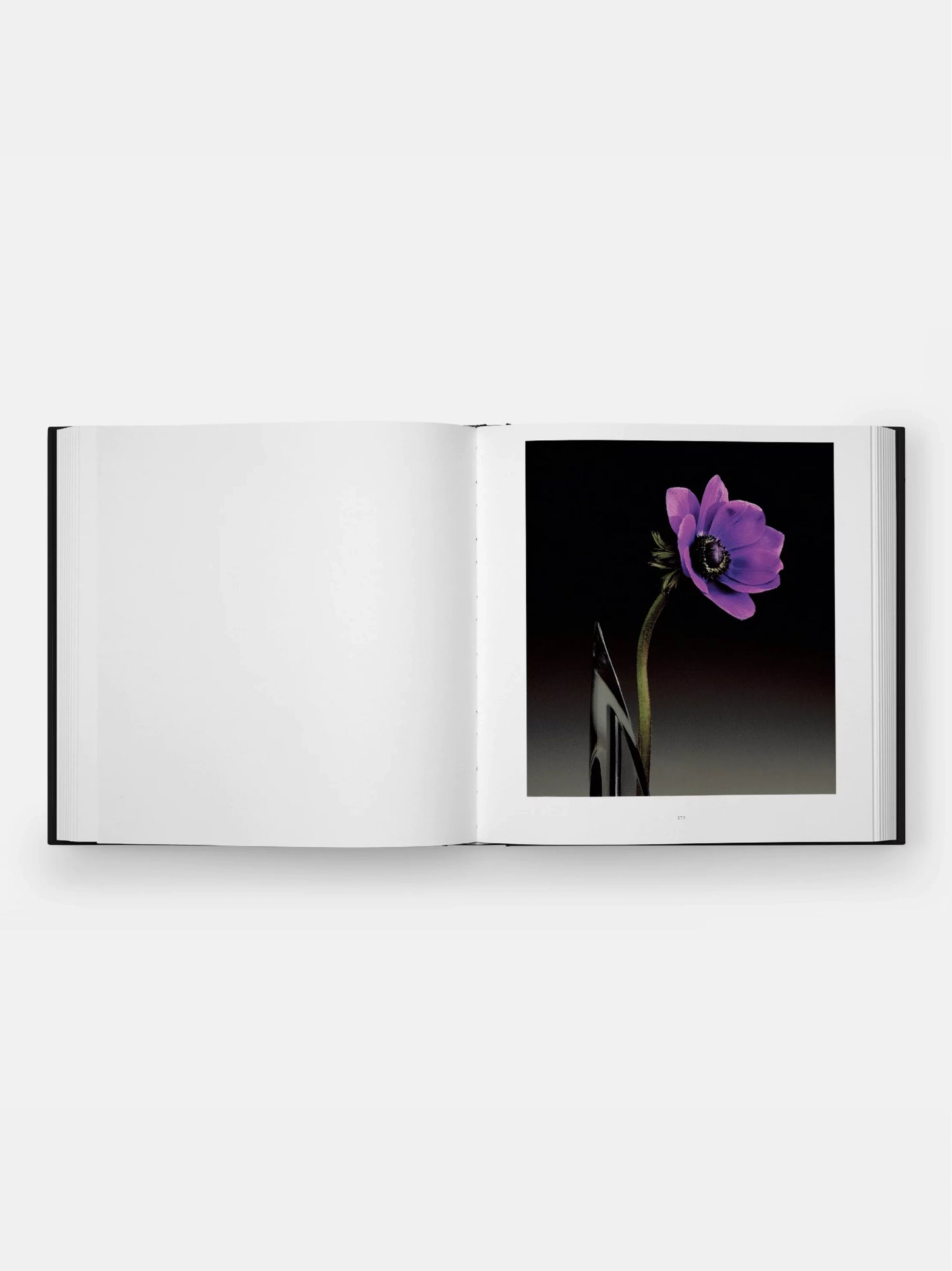 Mapplethorpe Flora Book