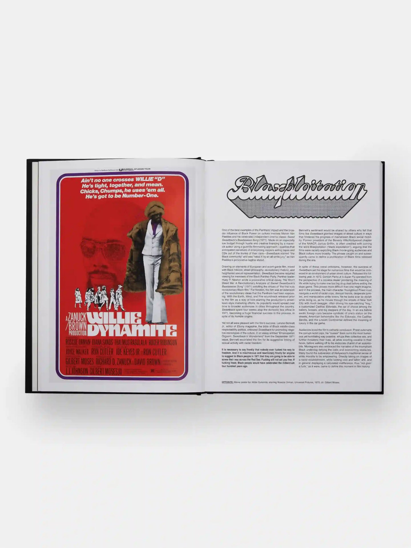 Rapper's Deluxe: How Hip Hop Made The World Book