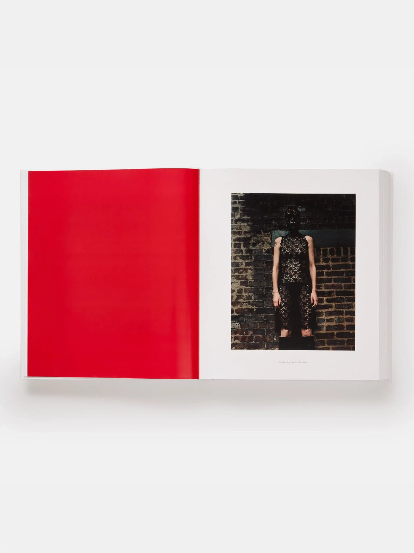 Steven Klein Book