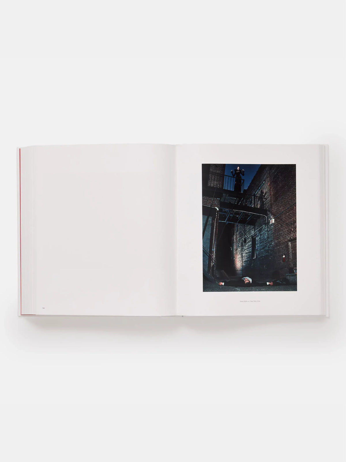 Steven Klein Book