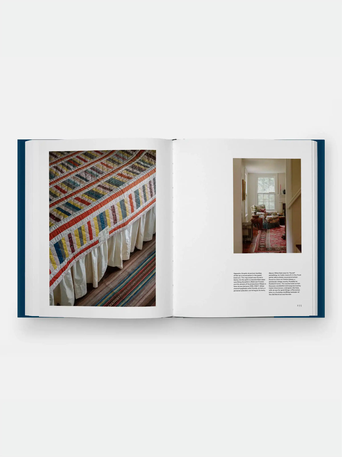The New Antiquarians: At Home with Young Collectors Book