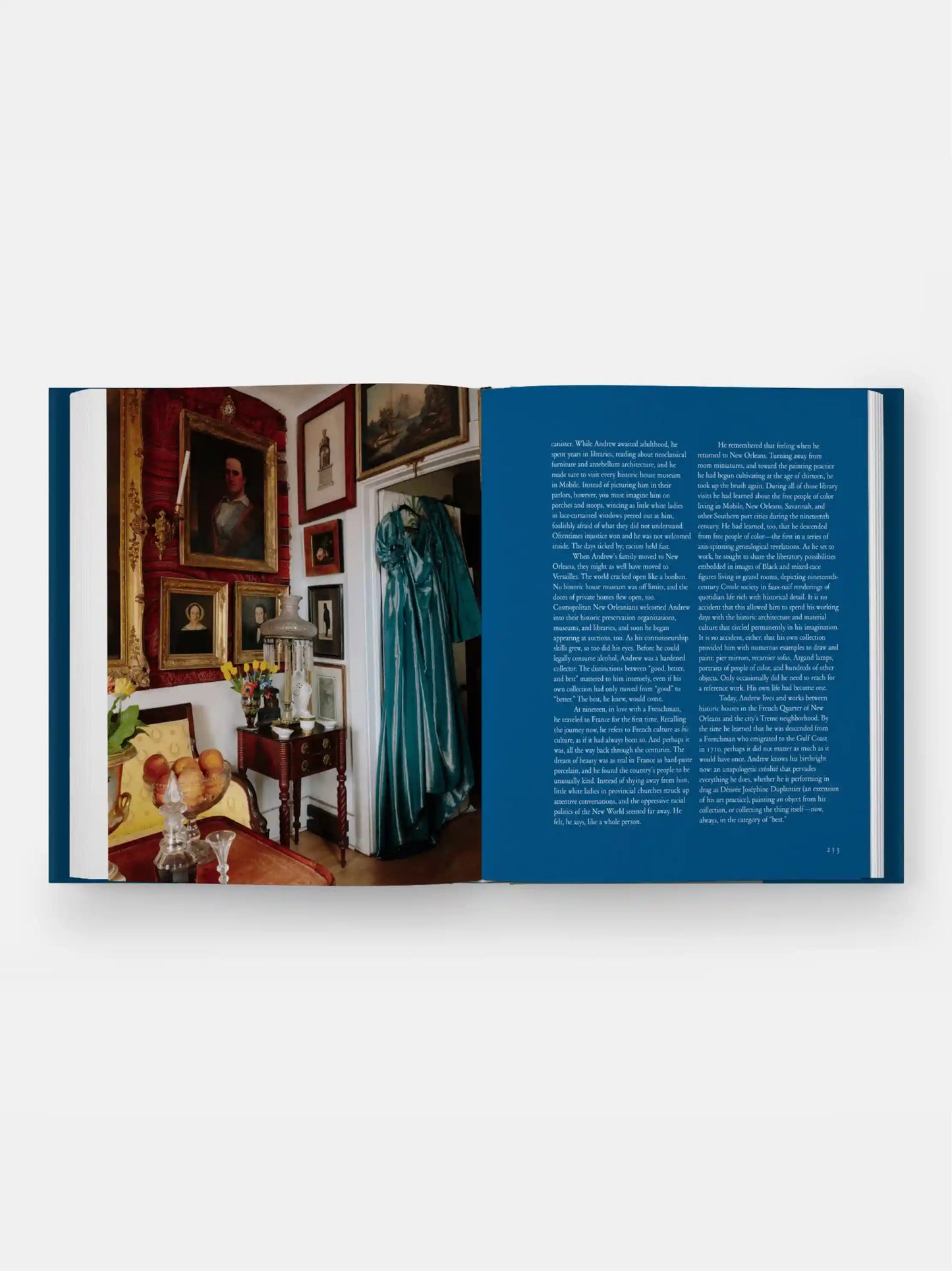 The New Antiquarians: At Home with Young Collectors Book