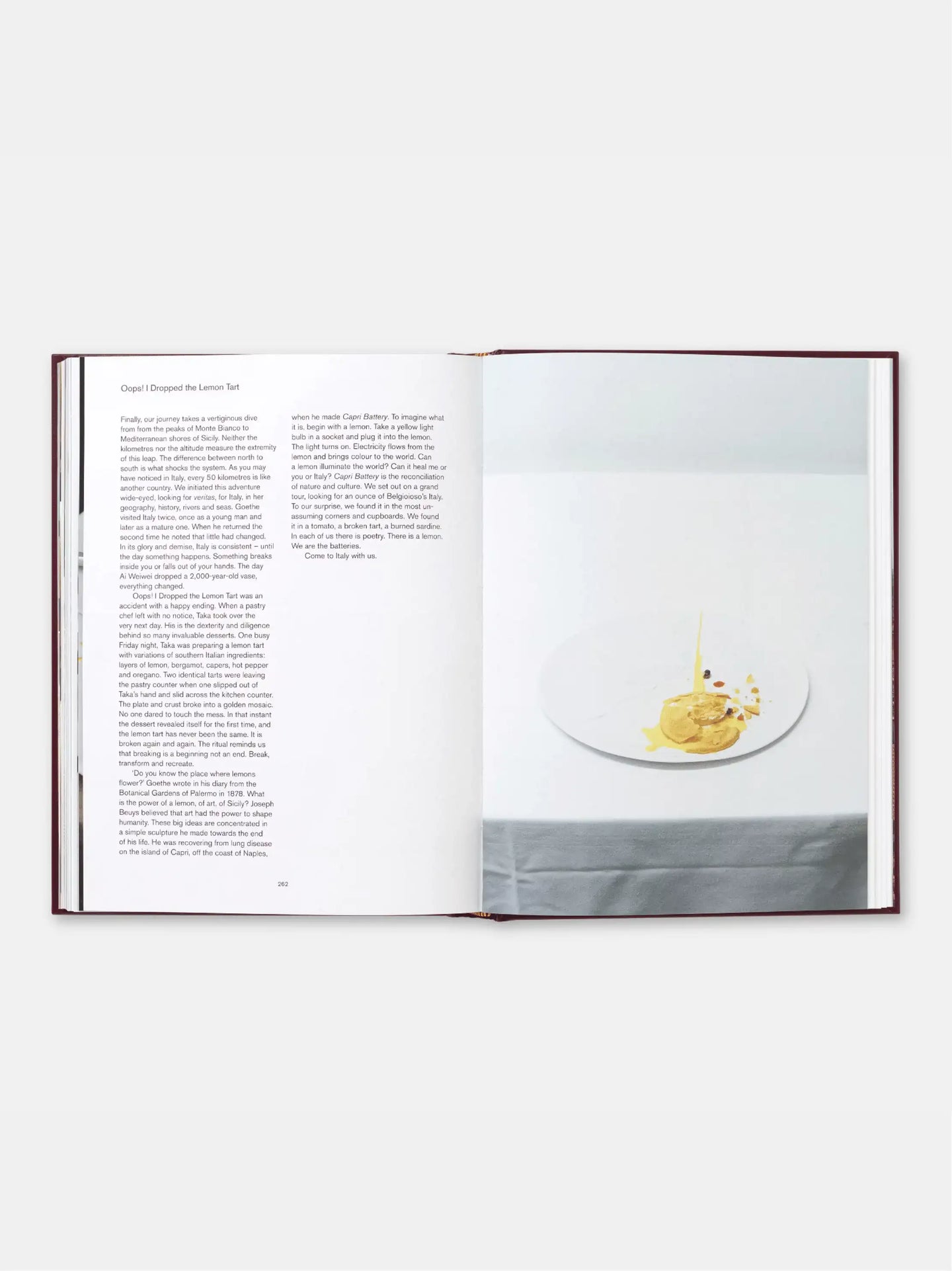 Never Trust A Skinny Italian Chef Cookbook