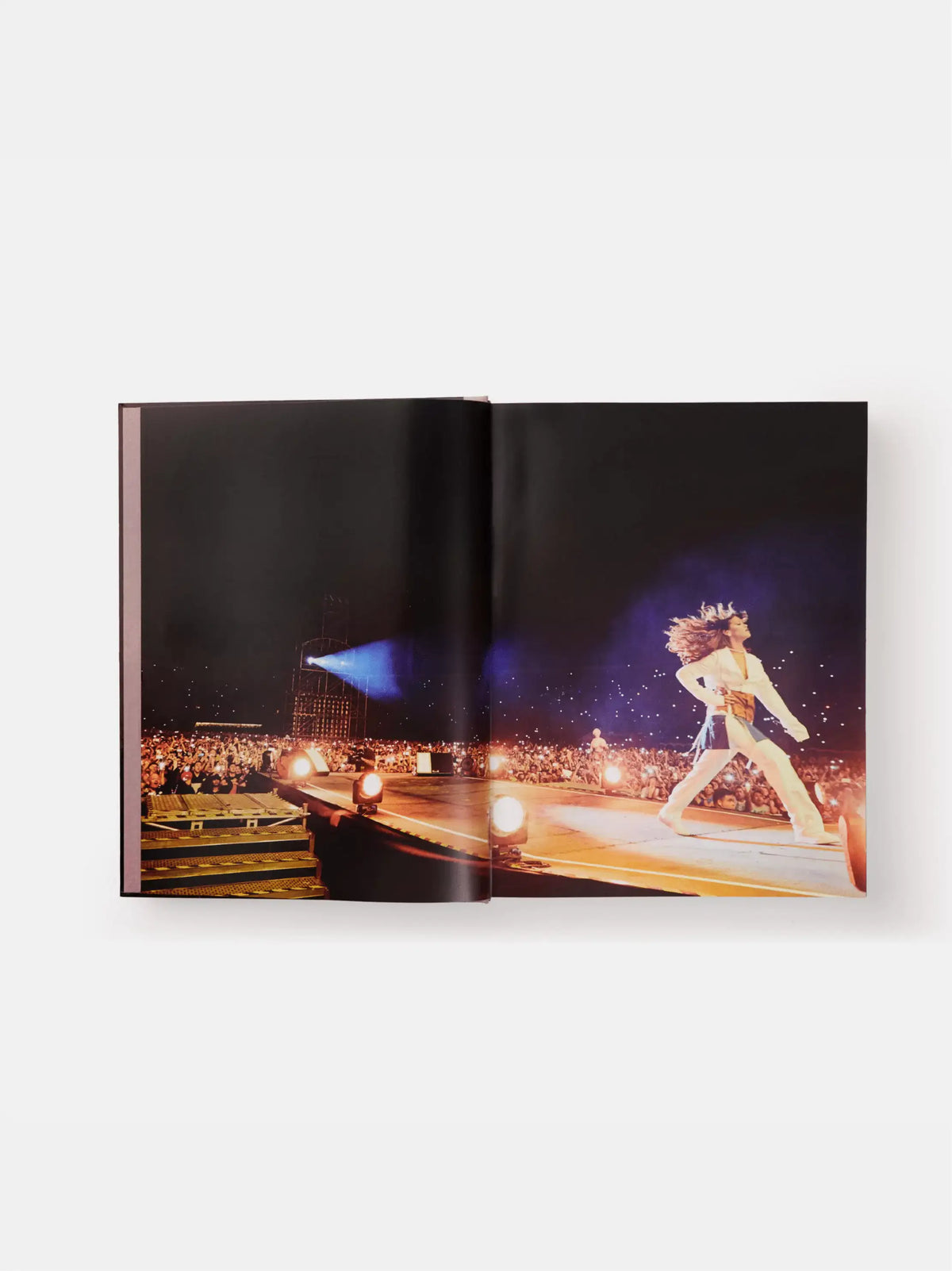 Rihanna: The Autobiography Book
