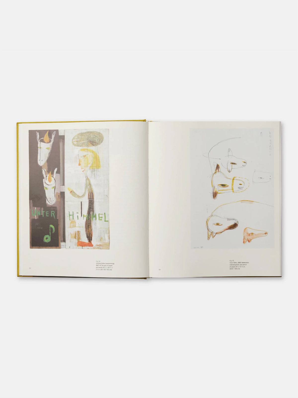 Yoshitomo Nara Book