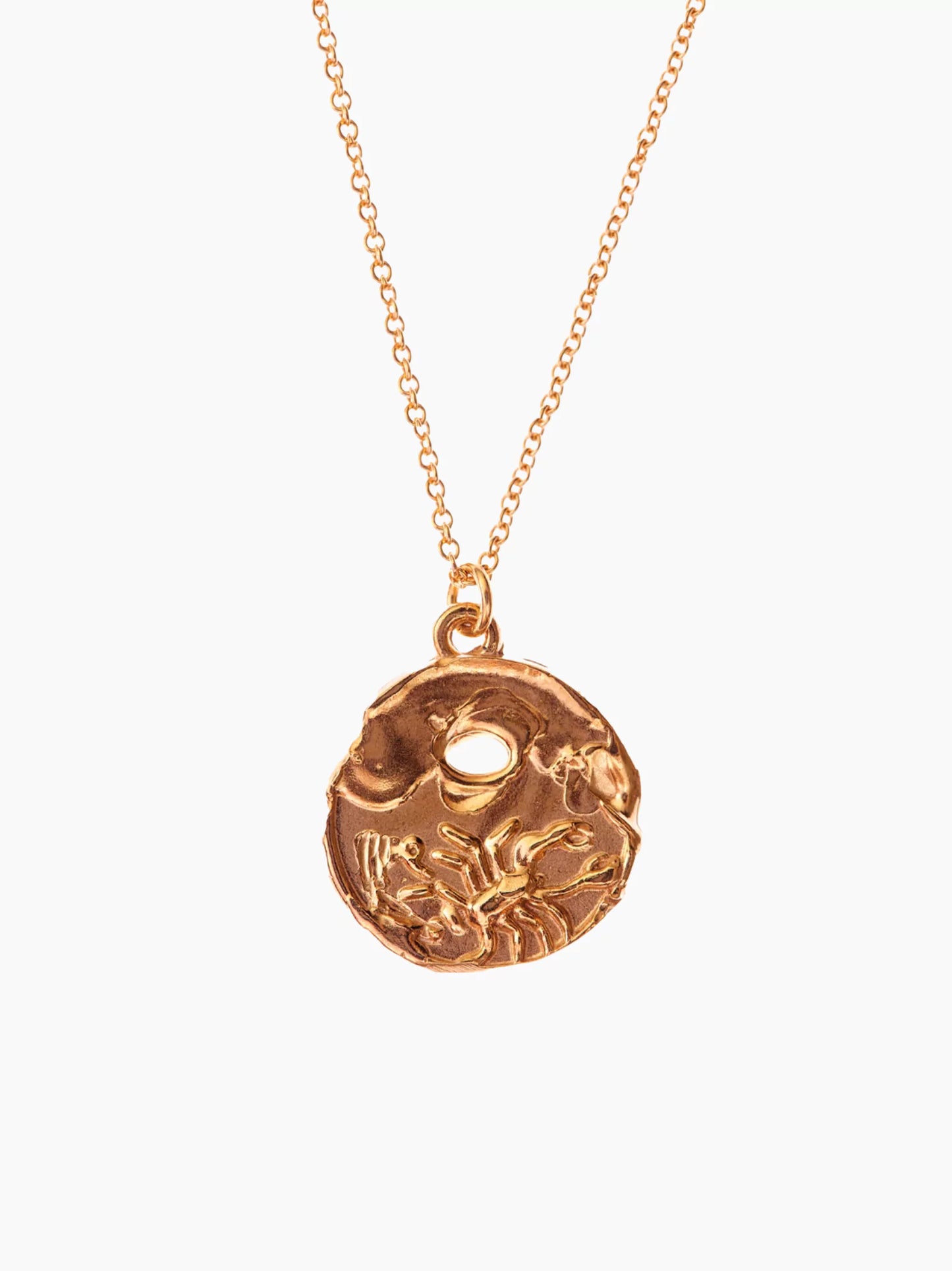 Zodiac Medallion Necklace