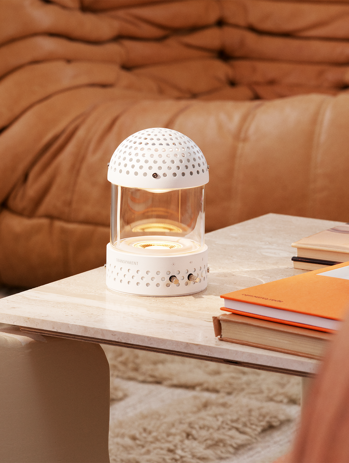 White Light Transparent Speaker