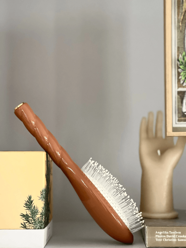 Brown Hairbrush