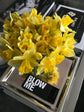 Blow Me Matches