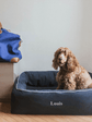 Dog Bed Navy Blue