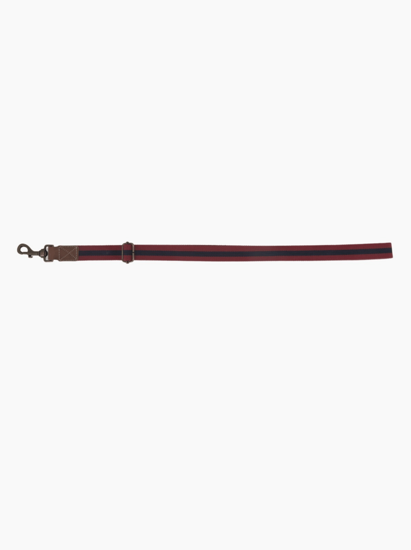 Dog Leash Red