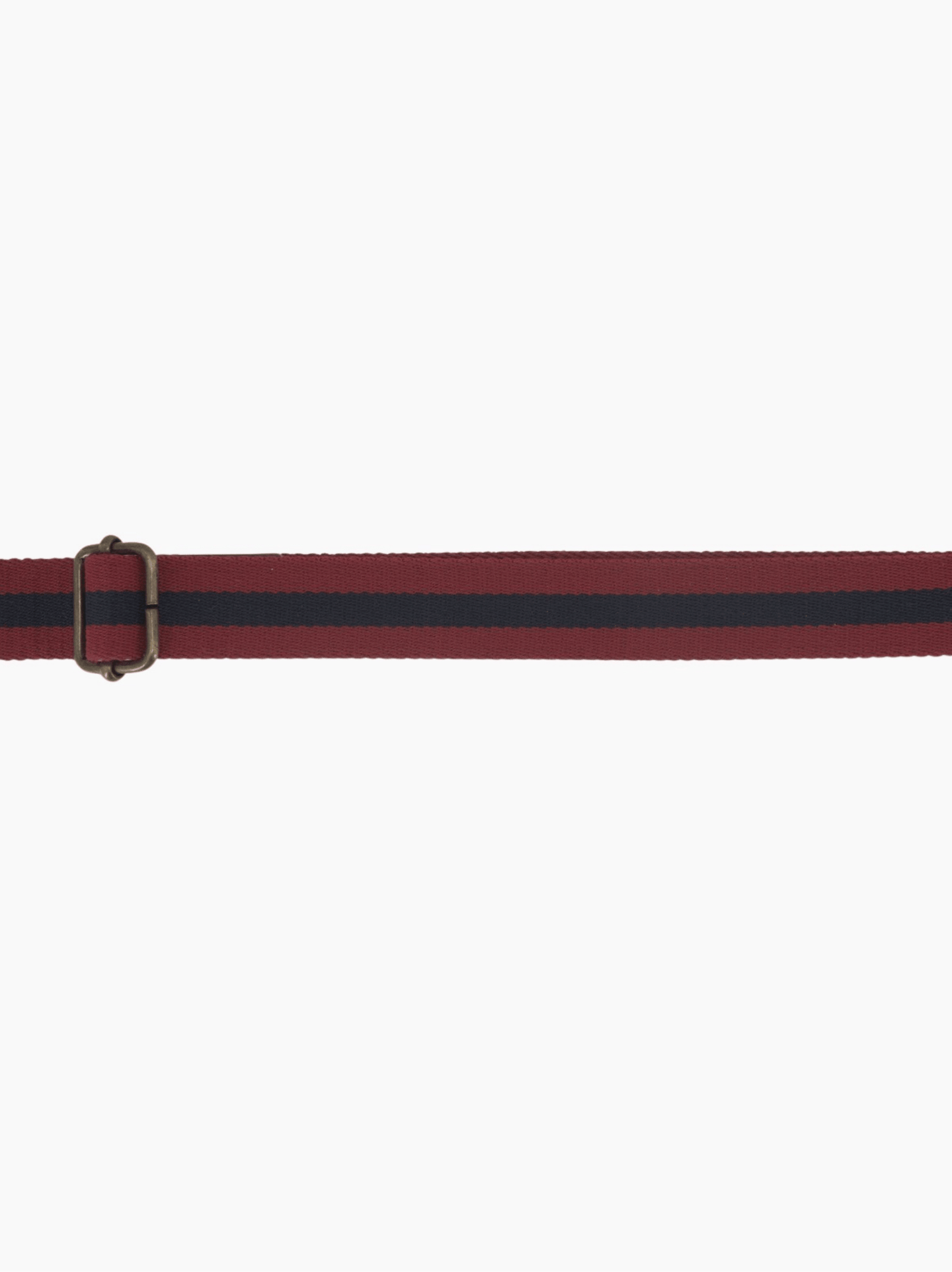 Dog Leash Red