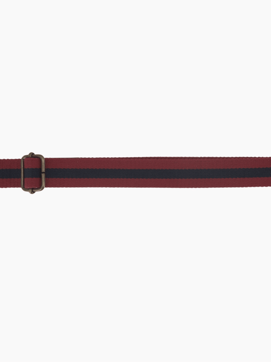 Dog Leash Red
