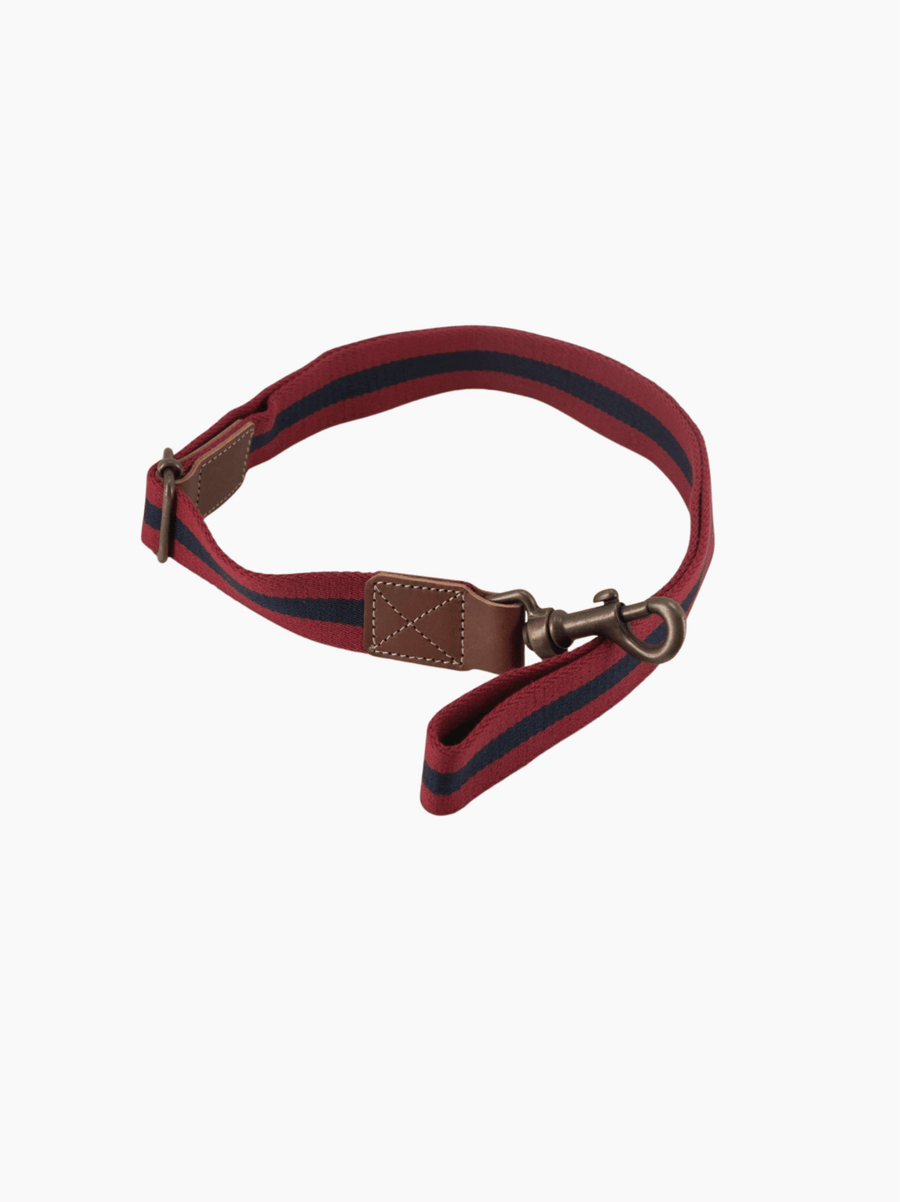 Dog Leash Red