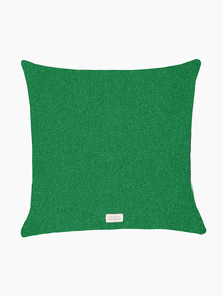 Hot Girls Eat Veg Cushion