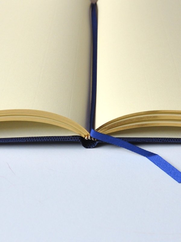 Ponzi Scheme Notebook