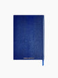 Ponzi Scheme Notebook