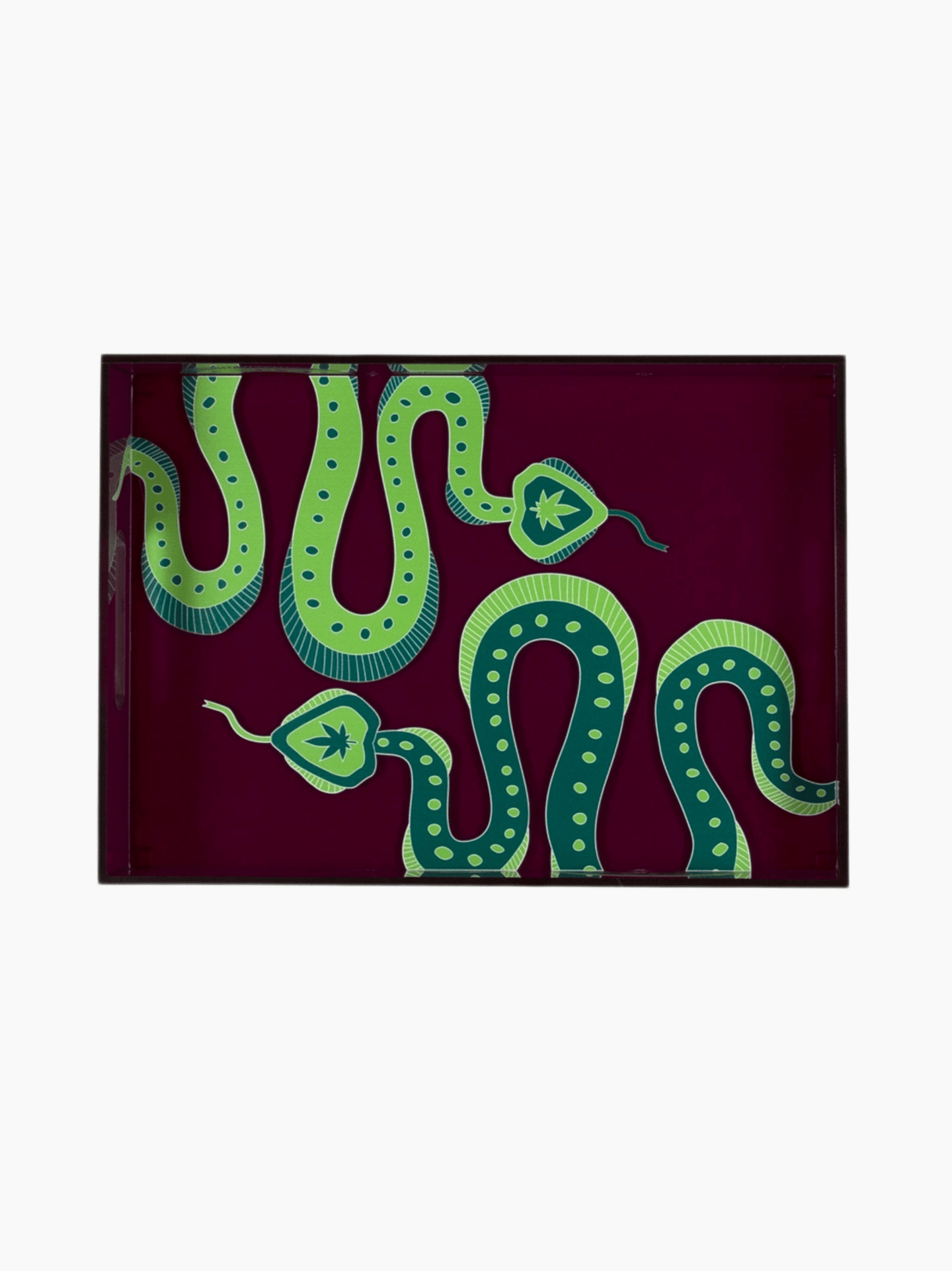 Snake Tray