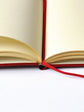The Devil Is In The Details Notebook